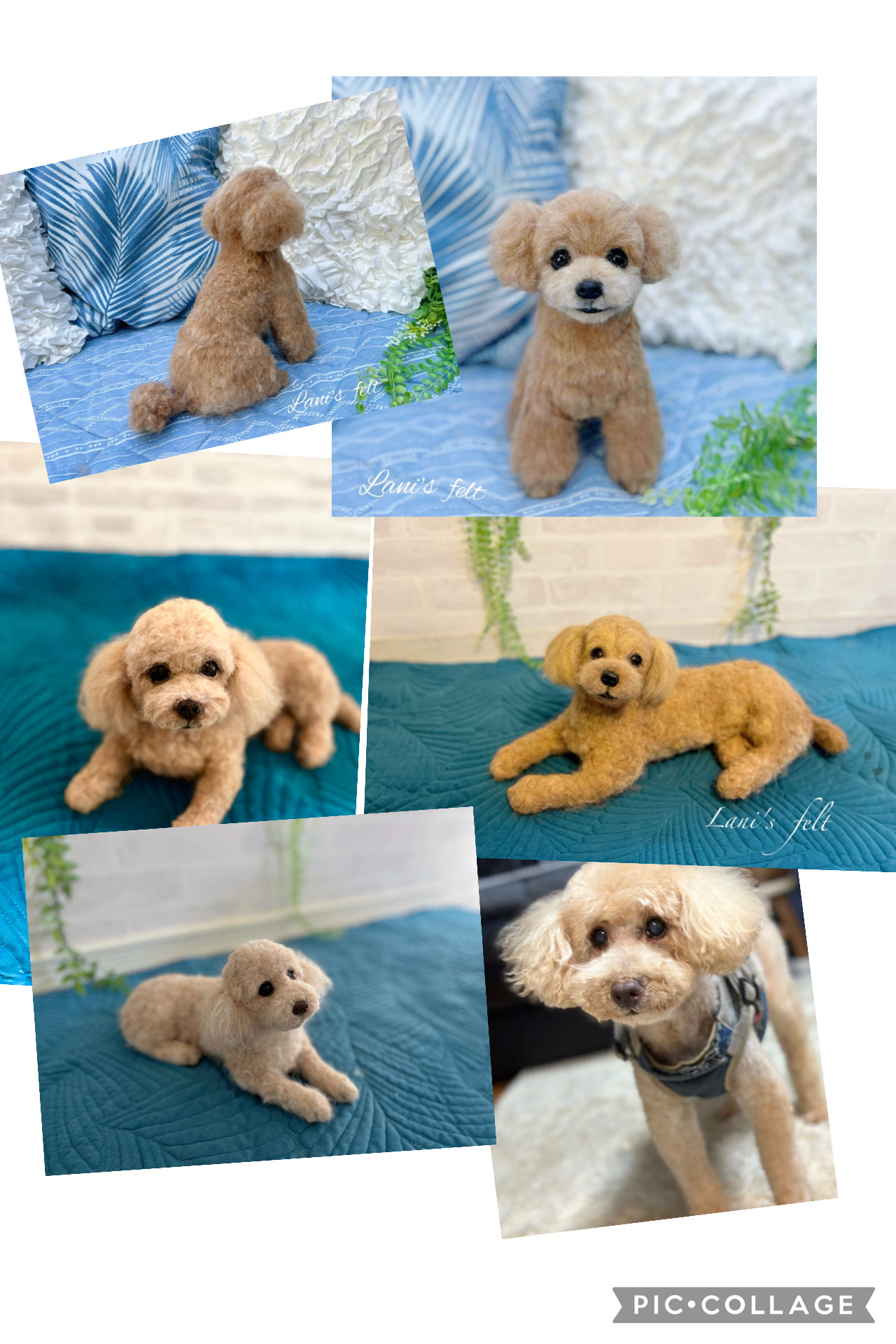 愛犬　オーダー　世界でたった一つ♡大切な家族をずっとそばに♡トイプードル♡ペット供養　イニシャルネックレス付き