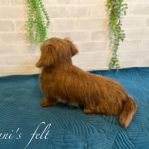 愛犬 オーダー ♡世界でたった一つ♡大切な家族♡羊毛フェルト犬