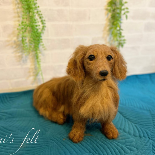 愛犬 オーダー ♡世界でたった一つ♡大切な家族♡羊毛フェルト犬