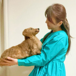 愛犬 オーダー ♡世界でたった一つ♡大切な家族♡羊毛フェルト犬