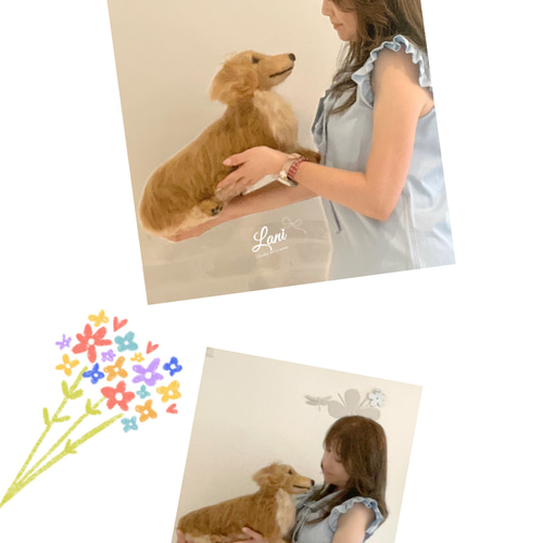 愛犬 オーダー ♡世界でたった一つ♡大切な家族♡羊毛フェルト犬