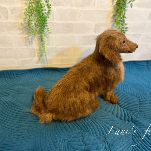 愛犬 オーダー ♡世界でたった一つ♡大切な家族♡羊毛フェルト犬