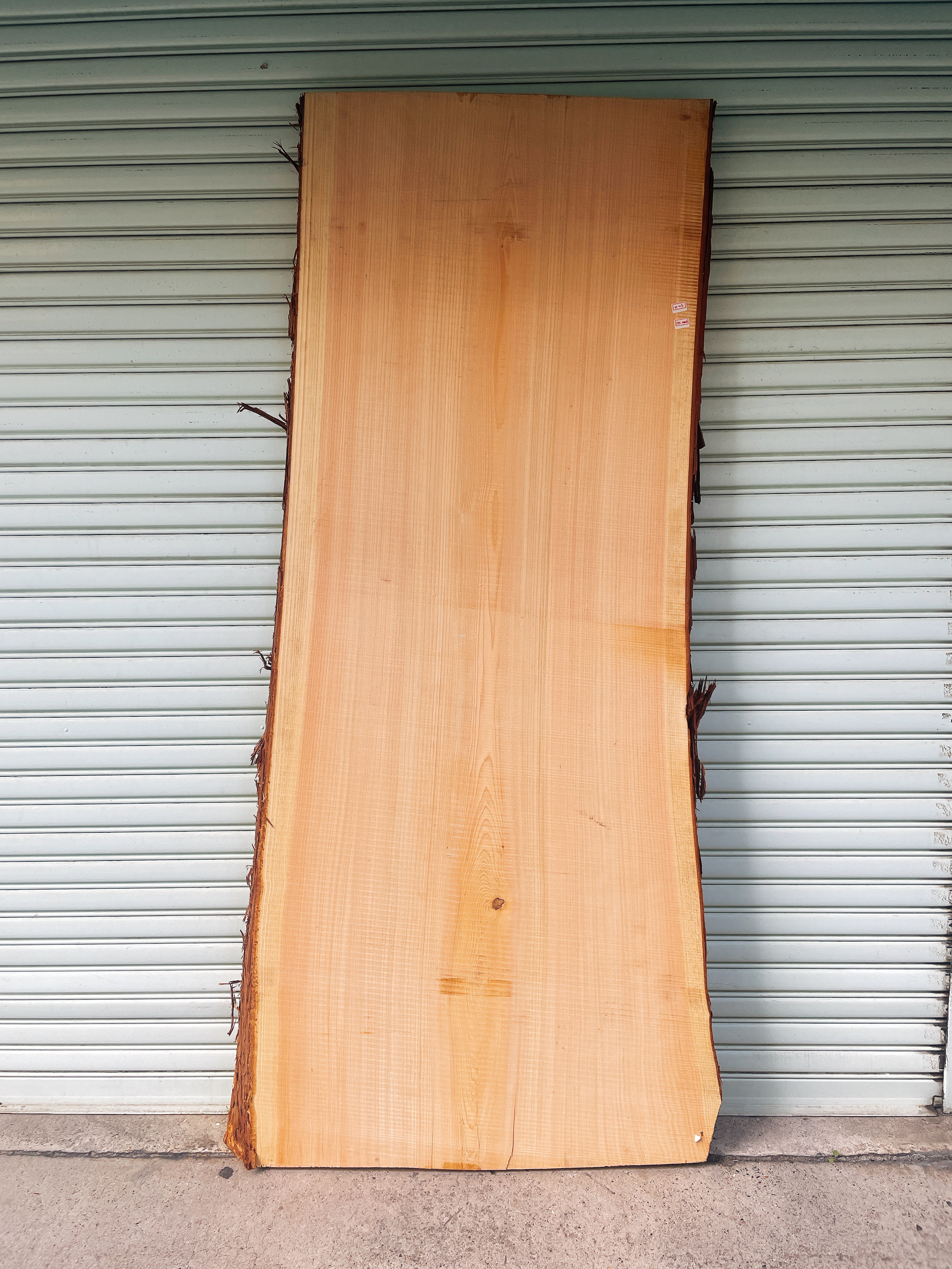 天然さわら　一枚板　DIY材　木材　天板　サイドテーブル　コーヒーテーブル　デスク　ダイニングテーブル