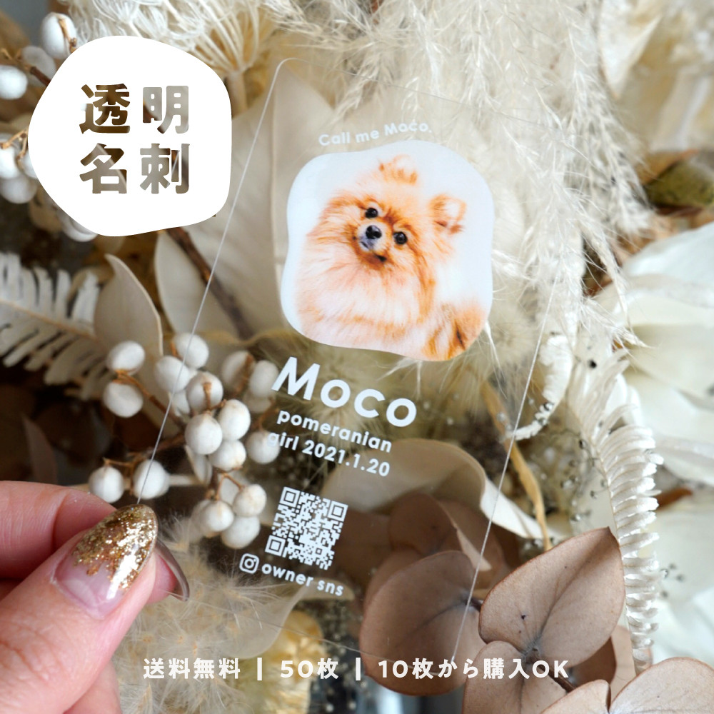 『透明×シンプル』うちの子・ペット名刺／オフ会・イベントで大活躍！