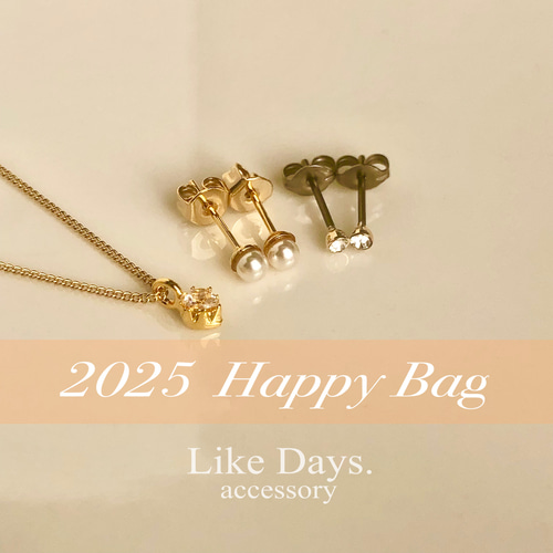 new／【セット】ピアス2点と新作ネックレスの福袋 ピアス（スタッド 