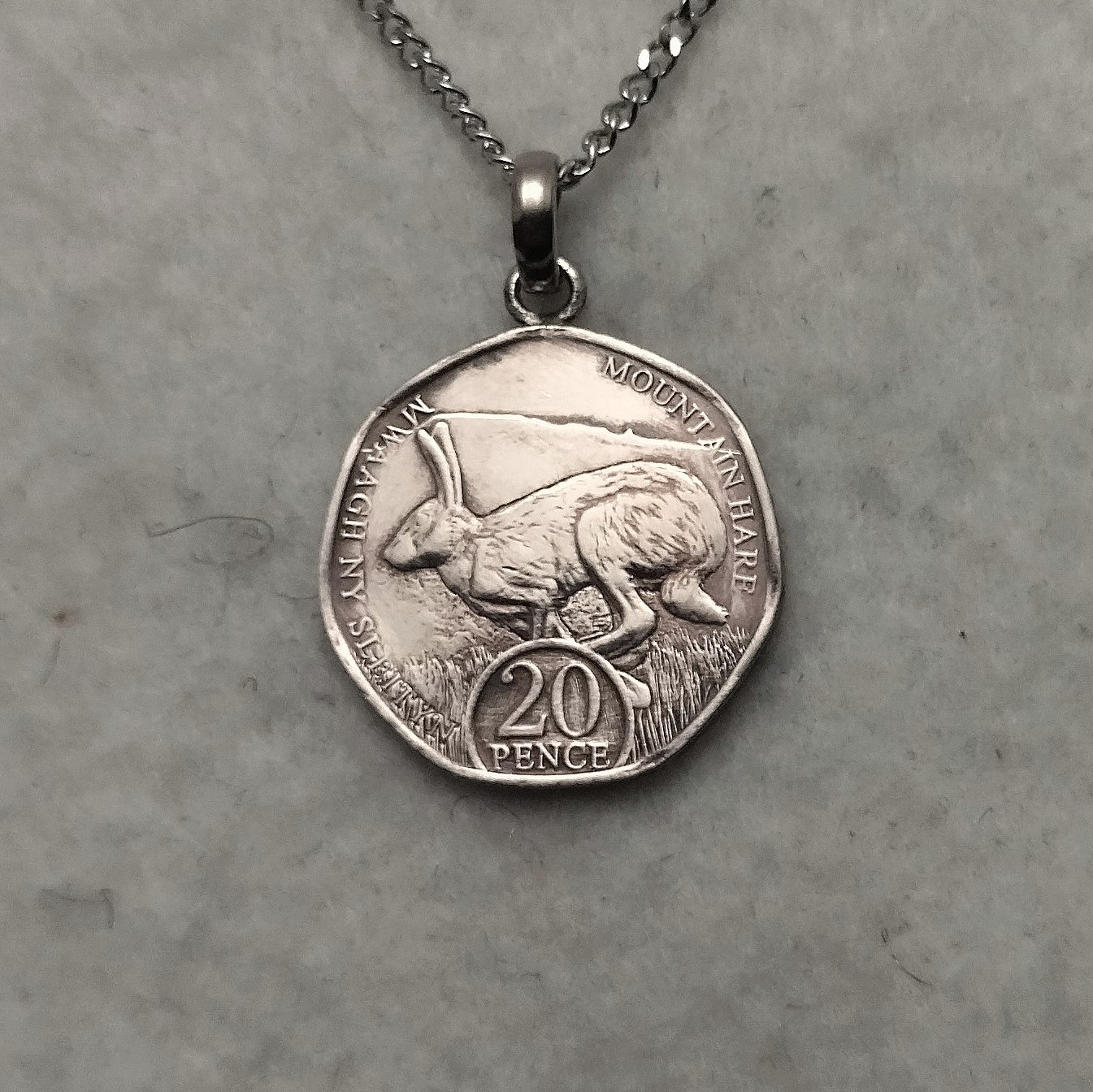 雪ウサギ MOUNTAIN HARE マン島ののコインネックレス ネックレス