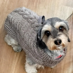 犬服♪リード通し穴有りの、ざっくりとしたアラン模様の手編みセーター(小型犬S) 1枚目の画像