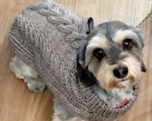 小型犬用手編み服　Sana mqdefault.jpg