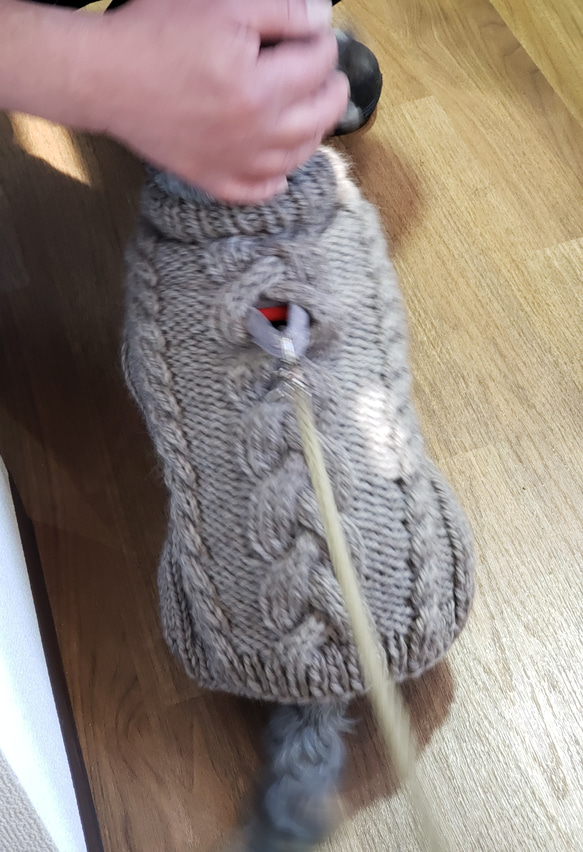 犬服♪リード通し穴有りの、ざっくりとしたアラン模様の手編みセーター(小型犬S) 6枚目の画像