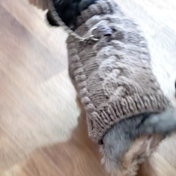 犬服♪リード通し穴有りの、ざっくりとしたアラン模様の手編みセーター(小型犬S) 3枚目の画像