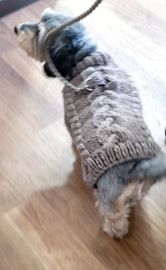 犬服♪リード通し穴有りの、ざっくりとしたアラン模様の手編みセーター(小型犬S) 3枚目の画像