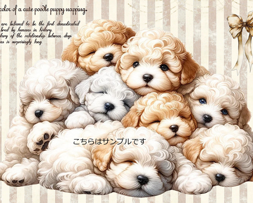 3f042b813058d52af0827a309af93b