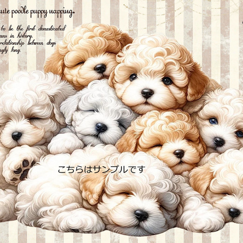オリジナル 生地 ブロックデザイン パネル生地 犬 犬柄 トイプードル