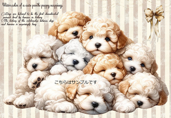 オリジナル 生地 ブロックデザイン パネル生地 犬 犬柄 トイプードル
