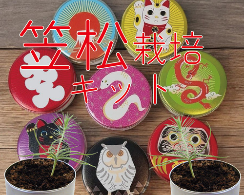 cac12201ec91acbb9fcd1dac3601f8