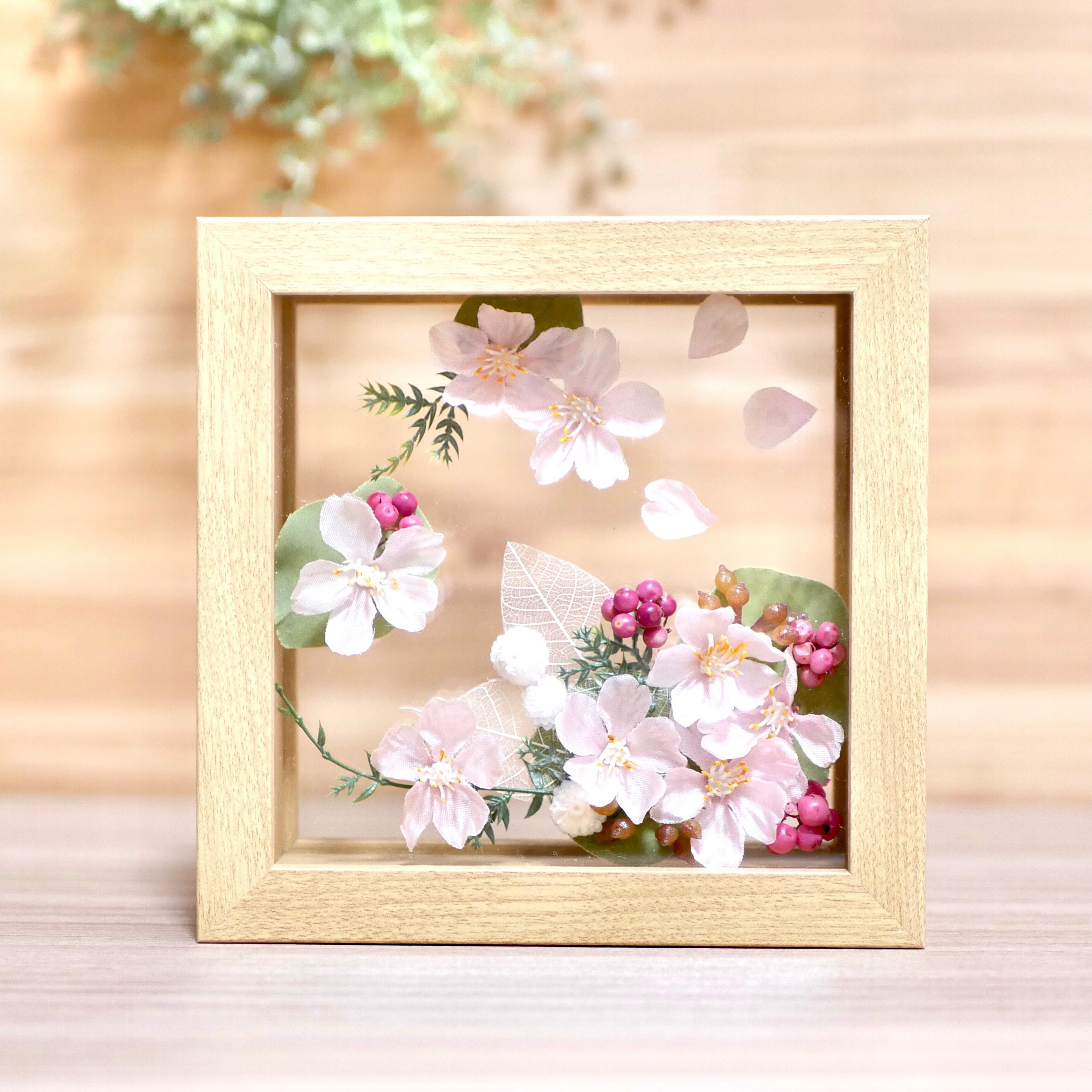 【春の超早割2026】水面に浮かぶ桜