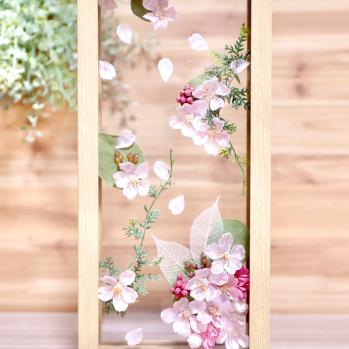 作家さんの桜皮張り履き物 レディース