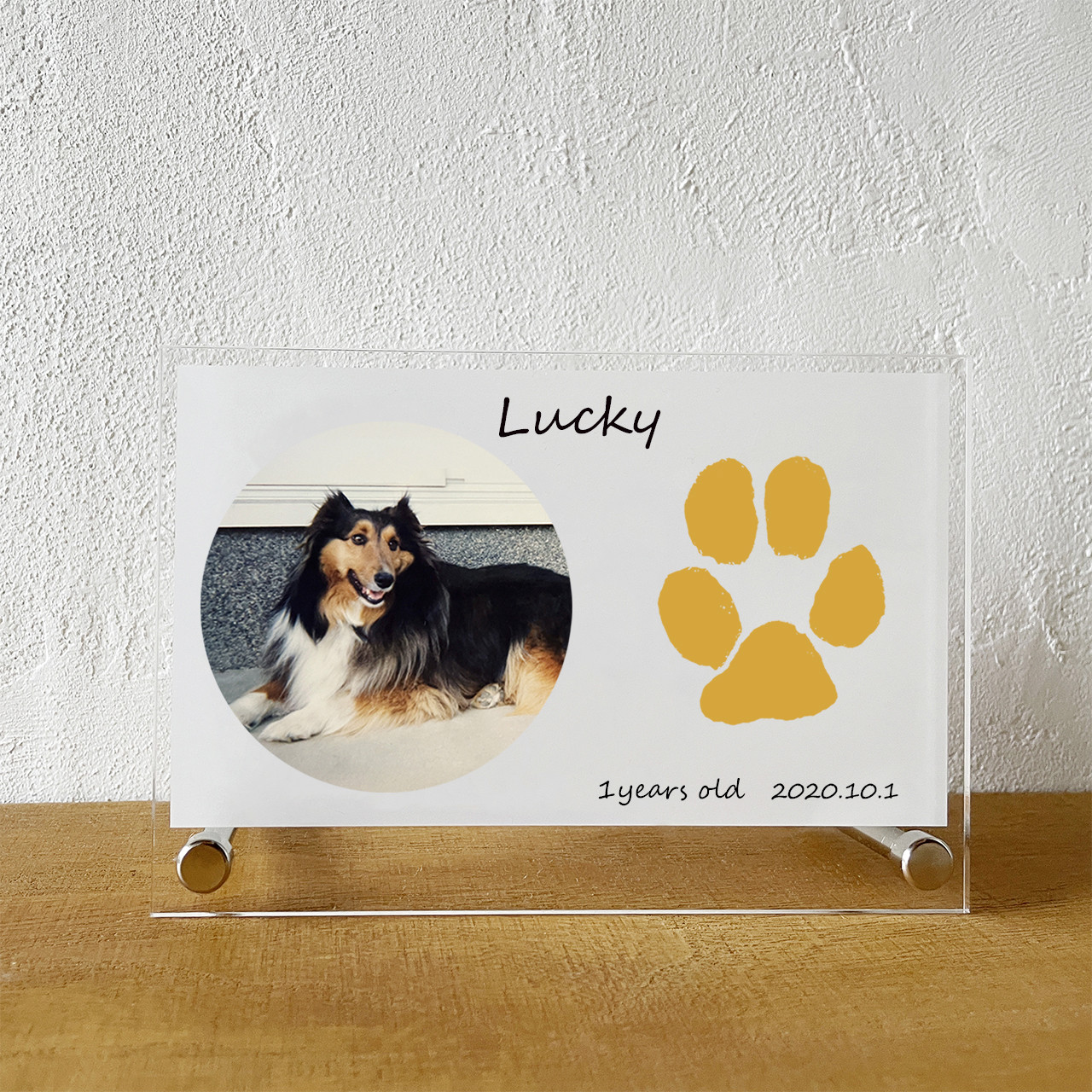 選べる色！★肉球足形★写真付！犬猫【思い出 記念 成長記録に】アクリルフォトスタンド 背景白2（足形5cm前後）