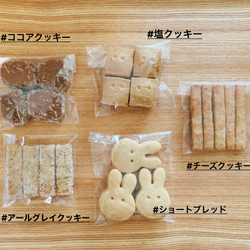  第5張的照片