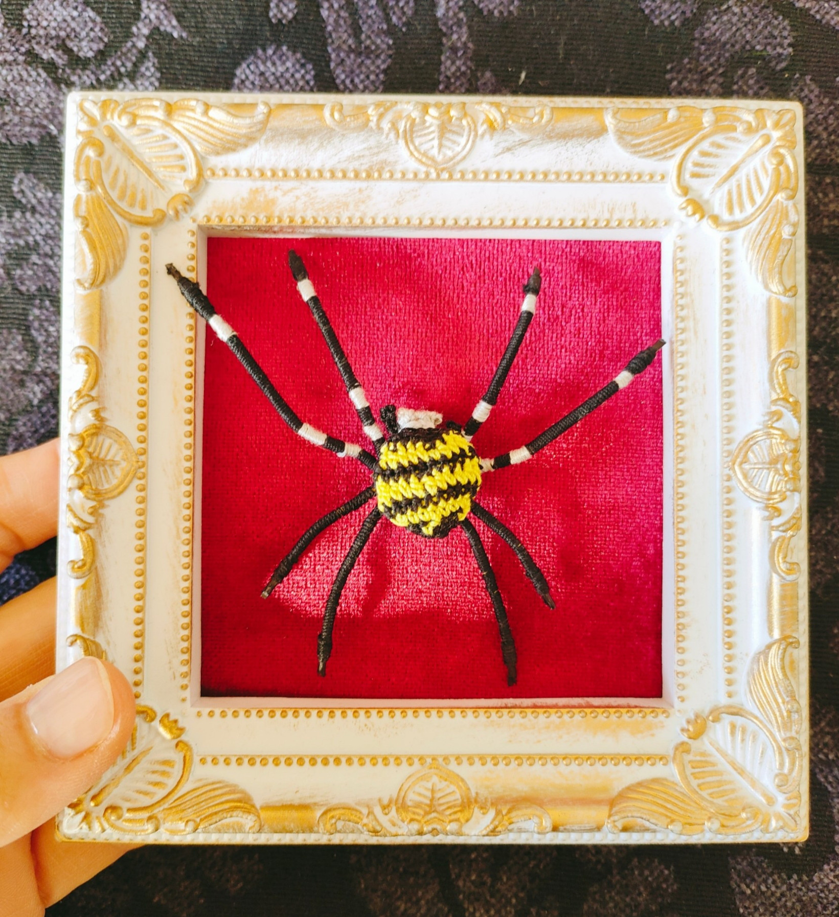 コガネグモのアートフレーム