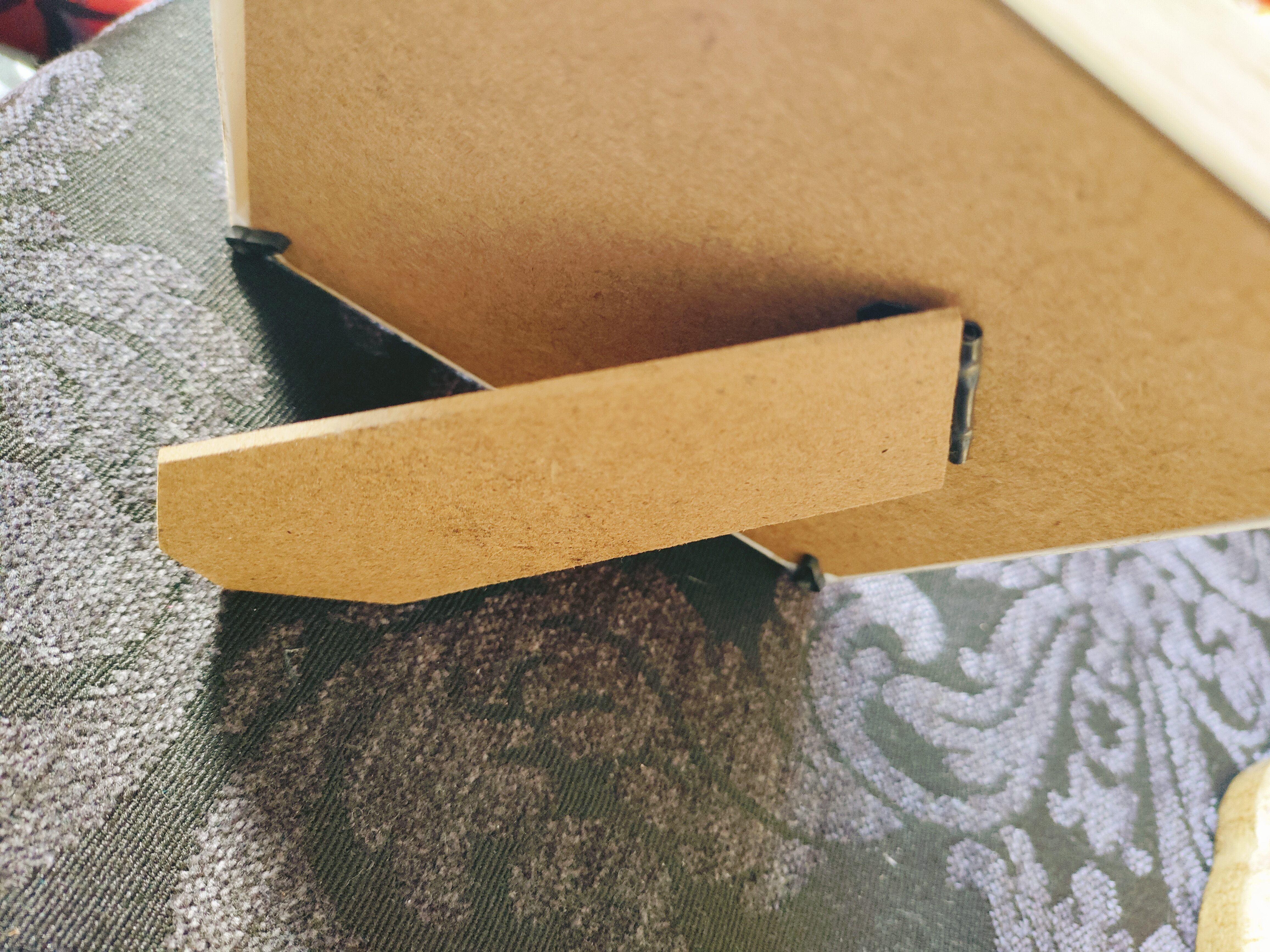 コガネグモのアートフレーム