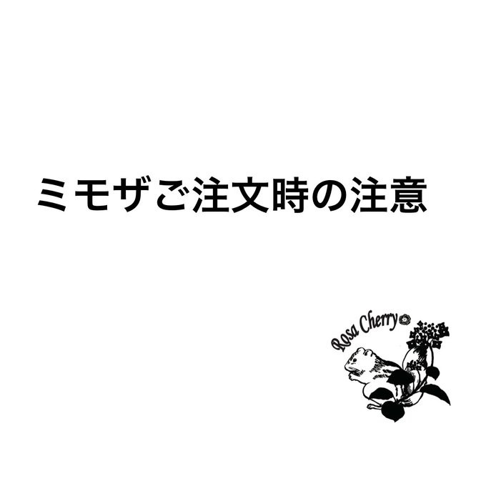 ミモザご注文の際にご確認お願い致します☆