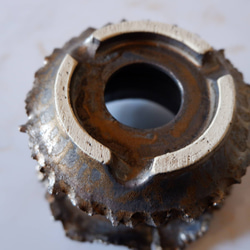 3.5号燻し金彩羽衣鉢780　塊根植物　多肉植物　盆栽　植木鉢　作家鉢　沖縄 6枚目の画像