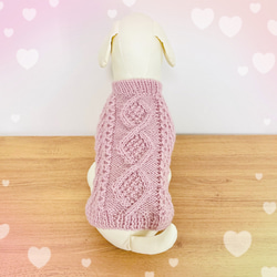 小型犬用手編み服　ひろみん⭐︎ 小型犬用手編み服 ひろみん⭐︎様専用 編み物キット】ドッグ