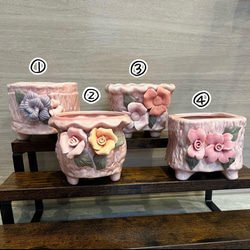 SOLD シャインブライト 厳選韓国苗 名前付き 多肉植物 〜Green〜多肉畑