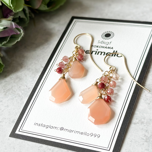 14kgfフォッシルコーラル・アンデシンラブラドライトピアス/イヤリング