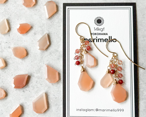 14kgfフォッシルコーラル・アンデシンラブラドライトピアス/イヤリング