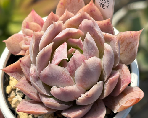 bb845ca1f550023ac8f6461efa3b02