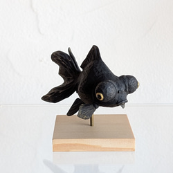 めだか メダカ アート 紅葉 プリザーブドフラワー 金魚 動物 透明 生き物 めだか メダカ アート 紅葉 プリザーブドフラワー 金魚 動物