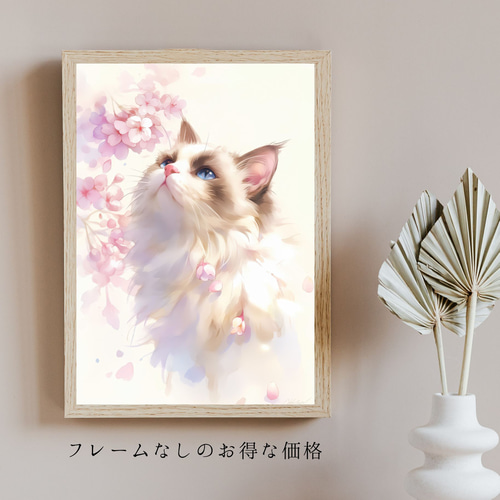 桜猫戯舞 - ラグドール No.1】桜・花見・春・花びら・子猫・猫