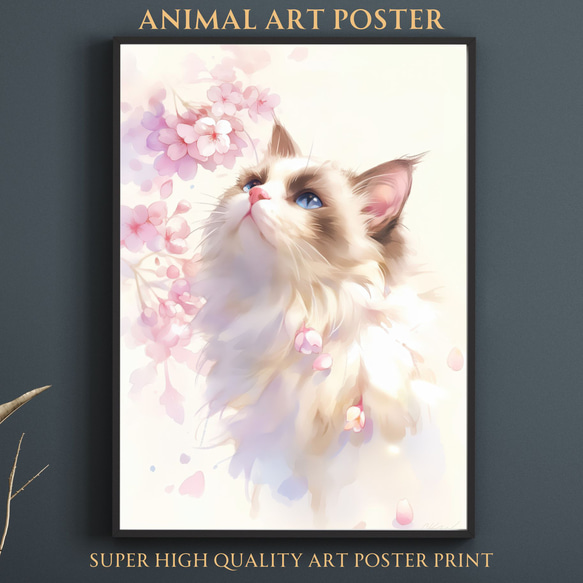 桜猫戯舞 - ラグドール No.1】桜・花見・春・花びら・子猫・猫