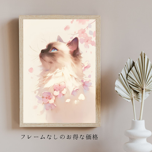 桜猫戯舞 - ラグドール No.2】桜・花見・春・花びら・子猫・猫