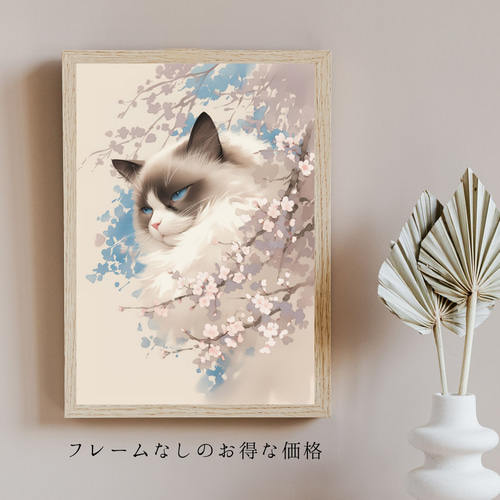 桜猫戯舞 - ラグドール No.3】桜・花見・春・花びら・子猫・猫