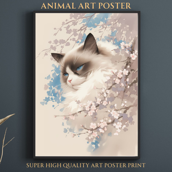 桜猫戯舞 - ラグドール No.3】桜・花見・春・花びら・子猫・猫