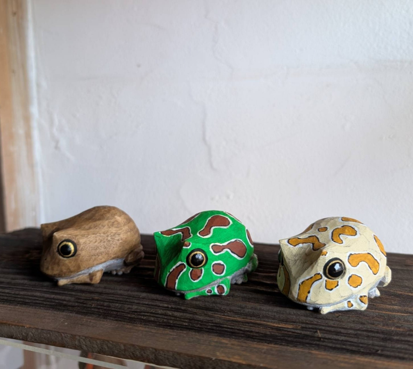 コロゲコツノカエール(クランウェルツノガエル風)