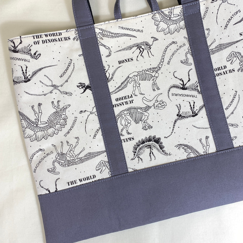 送料無料】 恐竜柄 ダイナソー柄 レッスンバッグ 上履き入れ お着替え