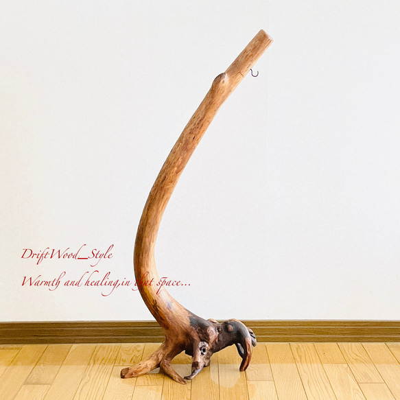 流木インテリア 曲線を描く芸術的な流木スタンド ランタンやエアプラントを飾れる置物 北欧 照明 木材 N69 15枚目の画像