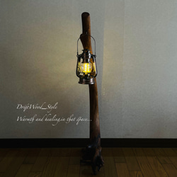 流木インテリア 曲線を描く芸術的な流木スタンド ランタンやエアプラントを飾れる置物 北欧 照明 木材 N69 8枚目の画像