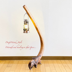 流木インテリア 曲線を描く芸術的な流木スタンド ランタンやエアプラントを飾れる置物 北欧 照明 木材 N69 5枚目の画像