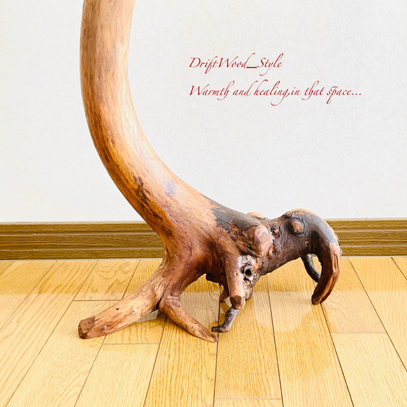 流木インテリア 曲線を描く芸術的な流木スタンド ランタンやエアプラントを飾れる置物 北欧 照明 木材 N69 14枚目の画像