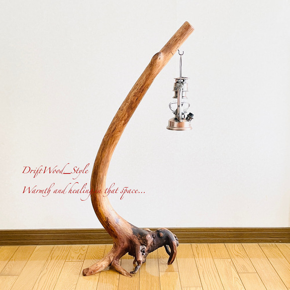 流木インテリア 曲線を描く芸術的な流木スタンド ランタンやエアプラントを飾れる置物 北欧 照明 木材 N69 3枚目の画像