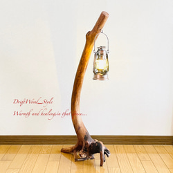 流木インテリア 曲線を描く芸術的な流木スタンド ランタンやエアプラントを飾れる置物 北欧 照明 木材 N69 4枚目の画像