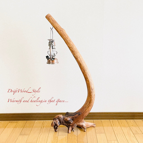 流木インテリア 曲線を描く芸術的な流木スタンド ランタンやエアプラントを飾れる置物 北欧 照明 木材 N69 12枚目の画像