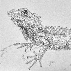 手描き・ペット似顔絵 うちの子 オーダーメイド【鉛筆画・はがき／2L