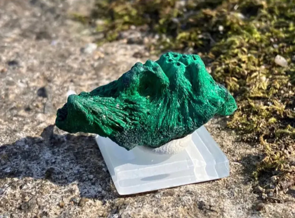 【タック】マラカイト(孔雀石) 最高品質孔雀石/Malachite (マラカイト) Ca₂(Co₃) (OH)₂ Kolwei