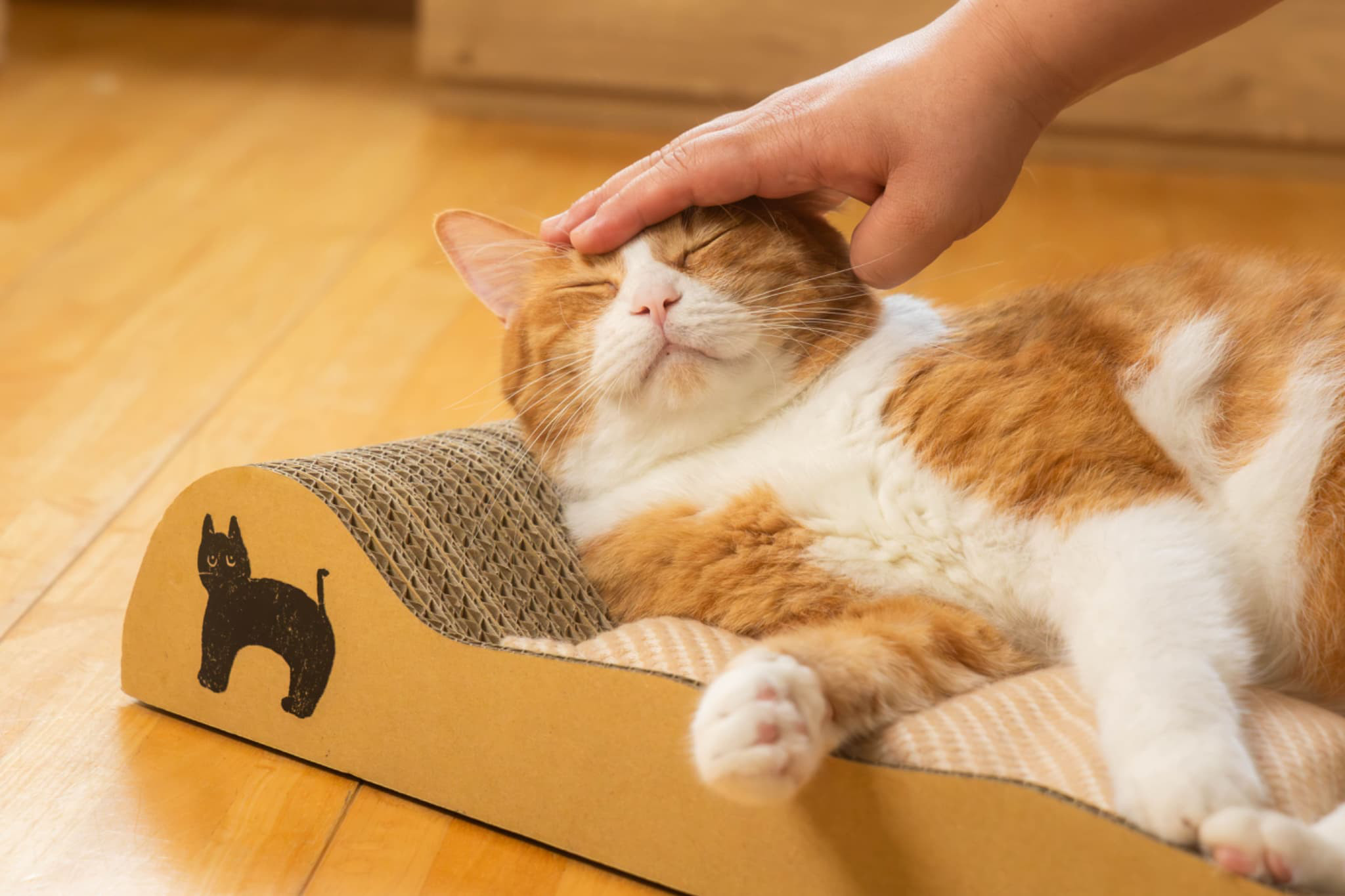 【ねむりや×鈴木紙器】プロのこだわり爪研ぎ　ふわぽかニャンバリダン　猫　ペット